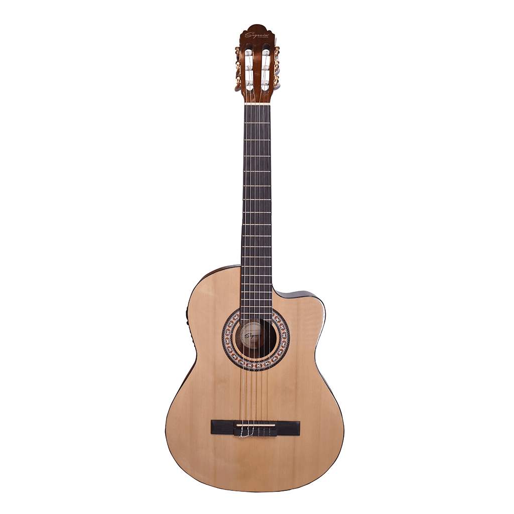 Guitarra Electroacústica Cuerdas de Nylon Pastilla Activa SGG21CE Segovia
