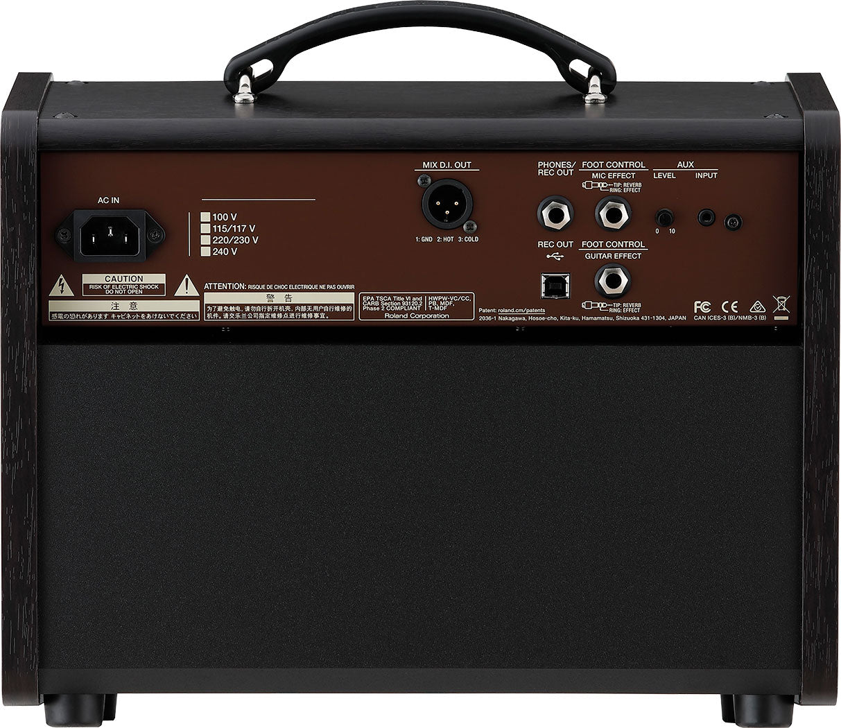 Amplificador Acústico ACS-LIVELT Boss