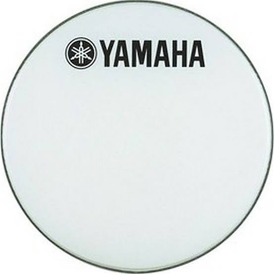 Parche 28” DH-BR-1228 Remo