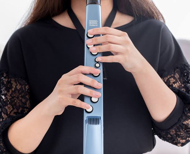 Aerophone Mini AE-01 Roland