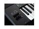 Teclado Profesional (Workstation) PSRSX920 Yamaha