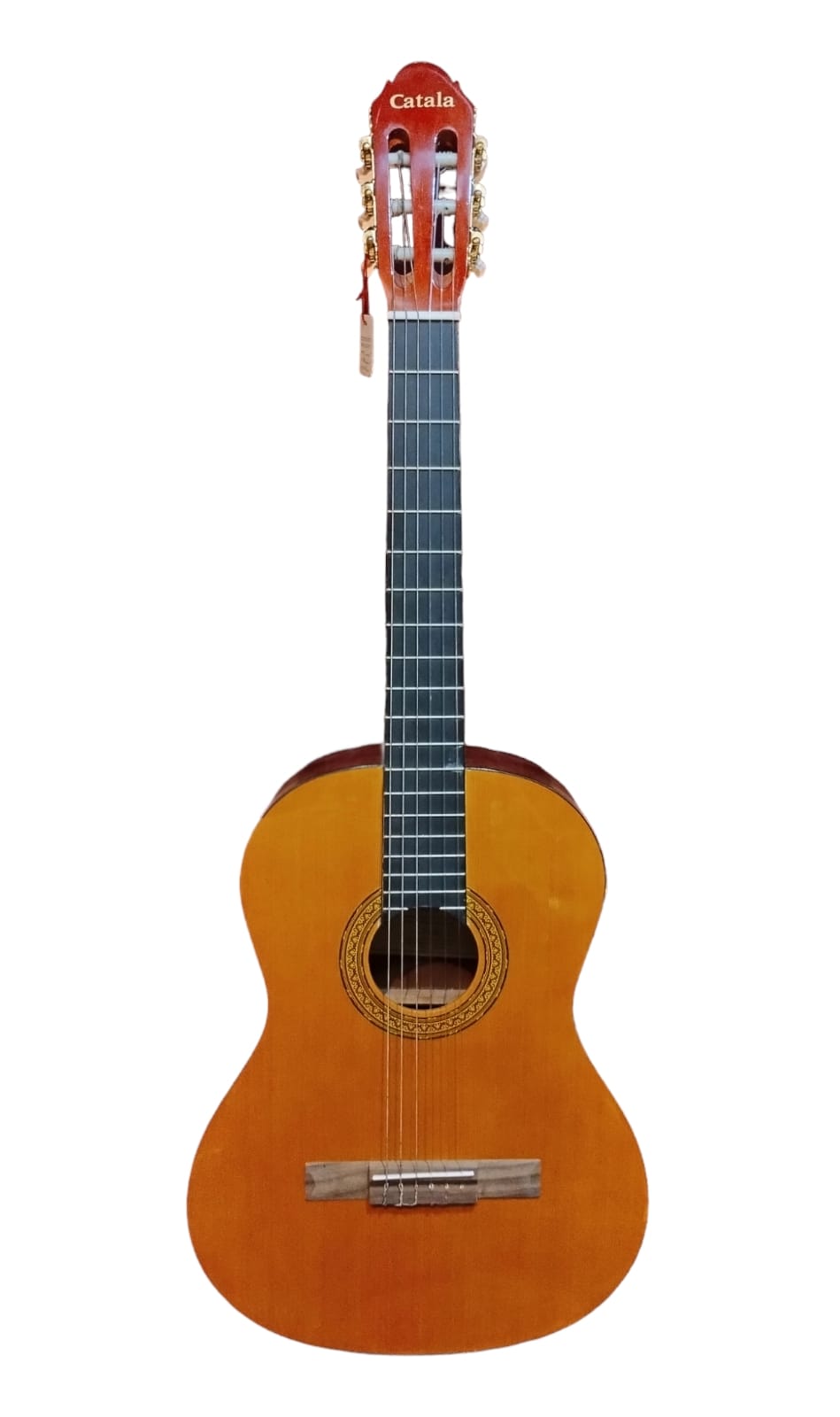 Guitarra Electroacústica Cuerdas de Nylon Pastilla Pasiva G-02E1 Catala