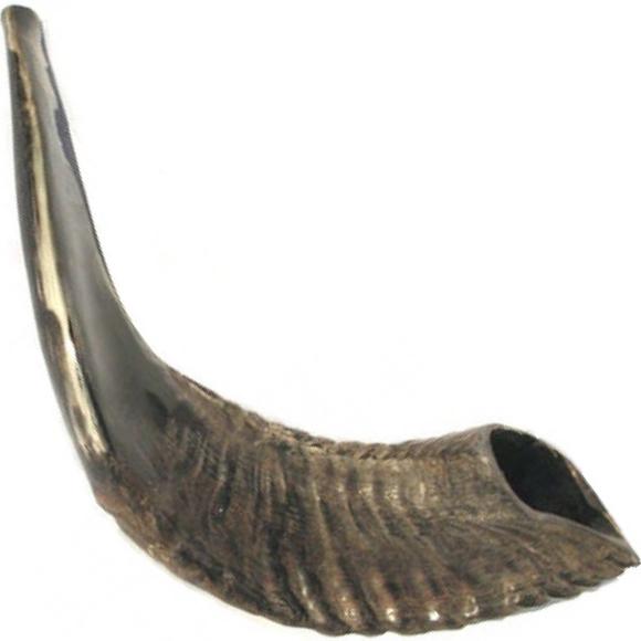 Cuerno Shofar CSS-1 Serenata