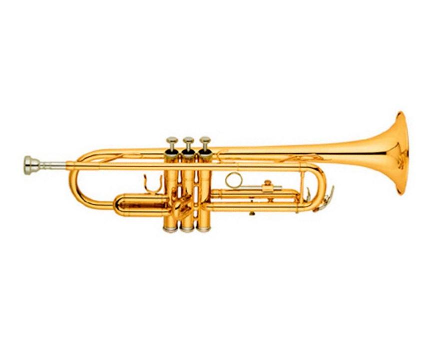Trompeta Bb Dorada SCTR-3350 Schatz