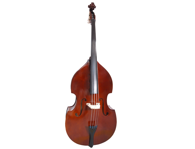Contrabajo 1/2 AS-060-B1/2 Höfner