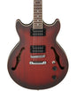 Guitarra Eléctrica Semi Hollow AM53 Ibanez