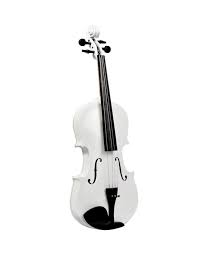 Violín Estudiante 4/4 con Estuche AMVL001 Amadeus Cellini
