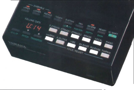 Expansor AWM de Voces Digitales AVS-10 Yamaha