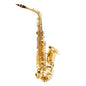 Saxofón Alto CNSX005 Century