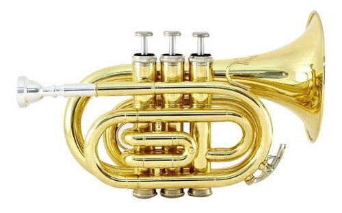 Trompeta Piccolo 6500L-1 Blessing