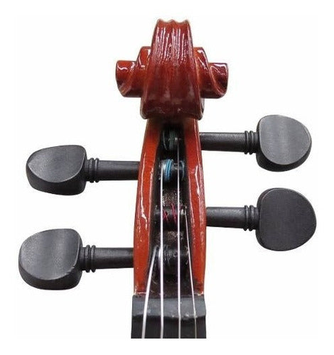 Violín 1/2 Brillante con Estuche AMVL005 Amadeus Cellini