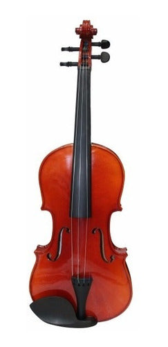 Violín Profesional 4/4 MV018 Pearl River