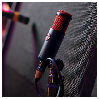 Micrófono de Cinta Dual KSM313/NE Shure