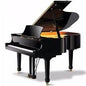Piano de Cola 1/4 GP142BK Hommel