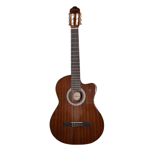 Guitarra Electroacústica Cuerdas de Nylon Pastilla Activa SG309CE Segovia