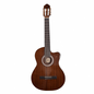 Guitarra Electroacústica Cuerdas de Nylon Pastilla Activa SG309CE Segovia