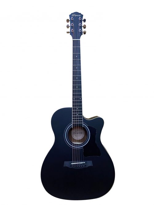 Guitarra Acústica Cuerdas de Acero SGG118AC Segovia
