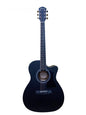 Guitarra Acústica Cuerdas de Acero SGG118AC Segovia