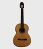 Guitarra Electroacústica Cuerdas de Nylon Pastilla Activa SGLC-162CEQ Segovia