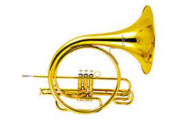 Corno Francés SLCR006 Silvertone
