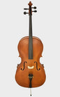 Chelo Estudiante 4/4 AMCH003  Amadeus Cellini