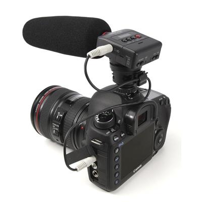 Grabadora DR-10SG Tascam