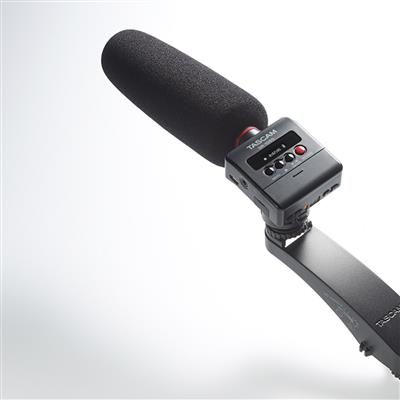 Grabadora DR-10SG Tascam