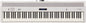 Piano Digital 88 Teclas FP-60 Roland