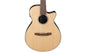 Guitarra Electroacústica AEG50 Ibanez