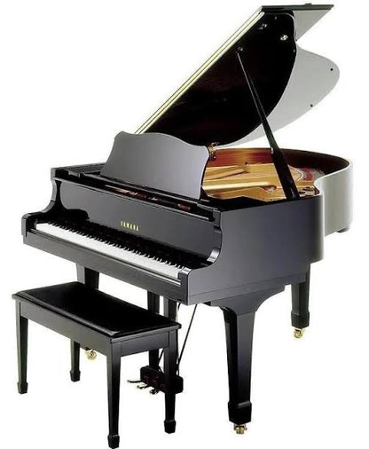 Piano de Cola 161 cms GC1M Yamaha