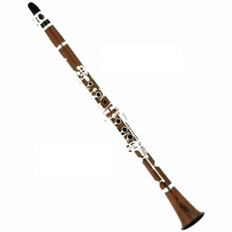 Clarinete Madera de Rosa SLCL010 Silvertone