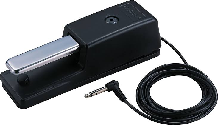 Pedal de Sustain DP-10 Roland