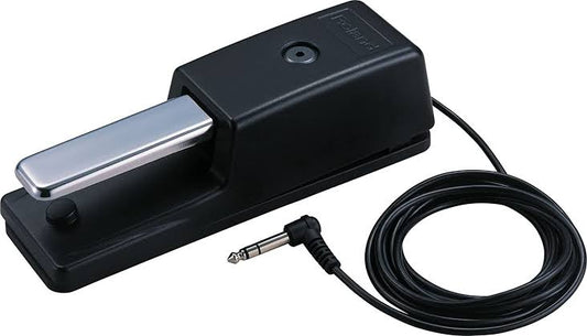 Pedal de Sustain DP-10 Roland