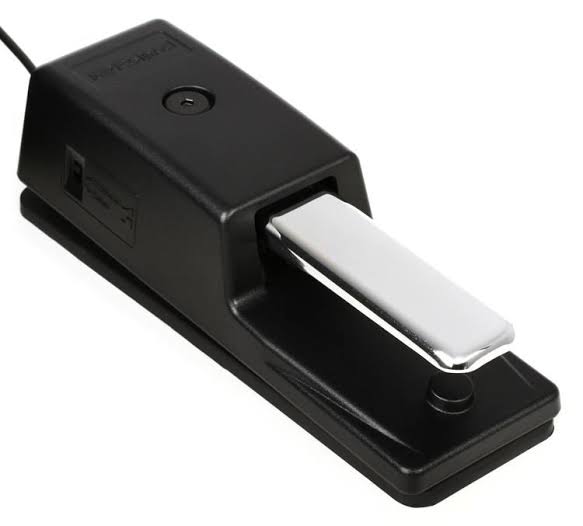 Pedal de Sustain DP-10 Roland