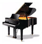 Piano de Cola PRGP010S Pearl River