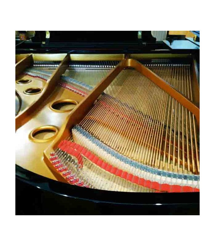 Piano de Cola PRGP170-NEGS Pearl River