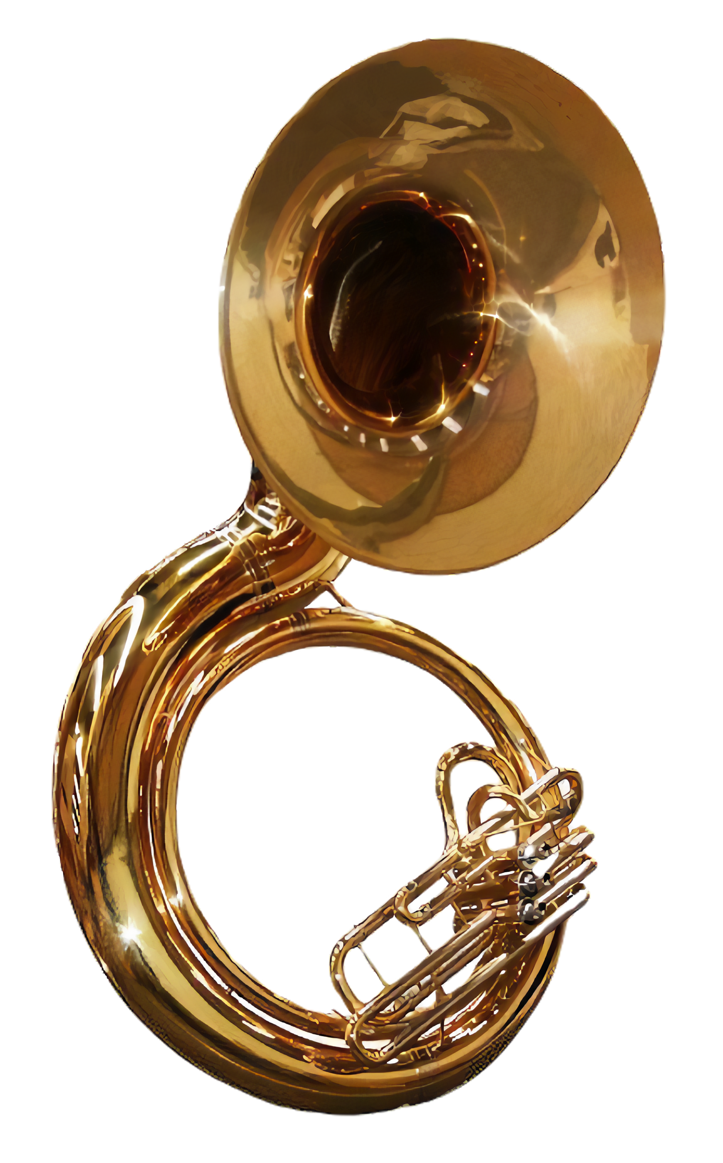 Tuba Sousafón SCSP-37G Schatz