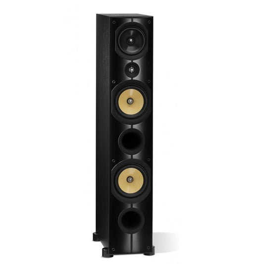 Juego de Gabinetes Acústicos Básicos Advanced Images IMAGINE X2T (BLK) Psb