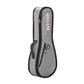 Funda para Instrumento RGP2- Ritter