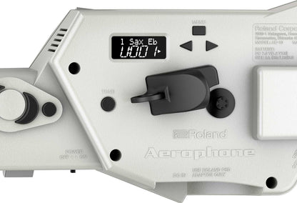 Instrumento de Viento Digital AE-10 Roland