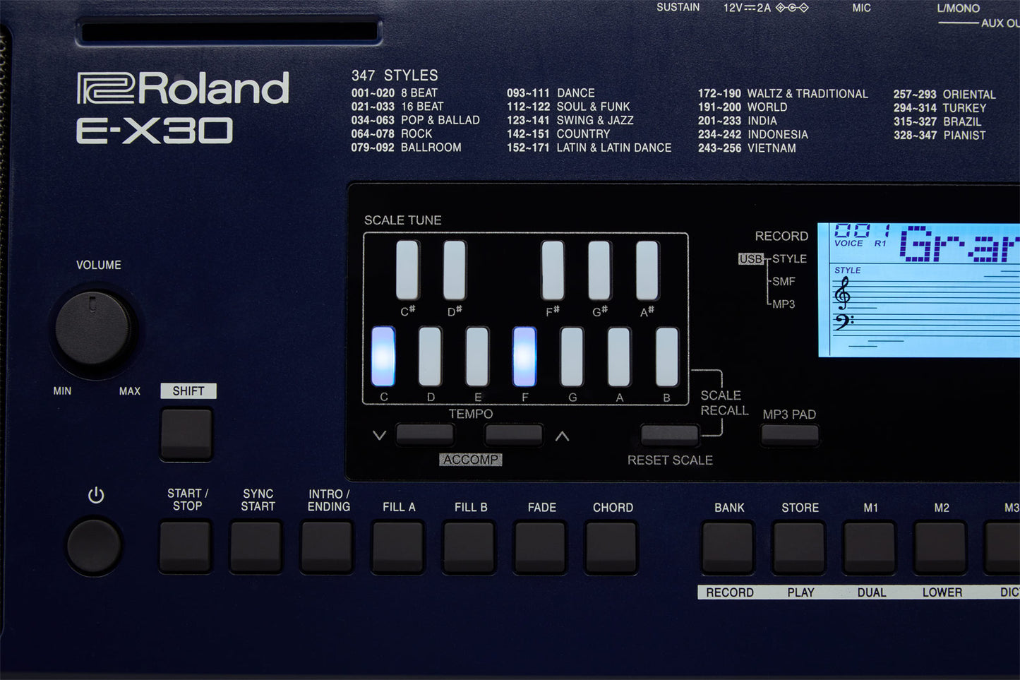 Teclado Arranger E-X30 Roland